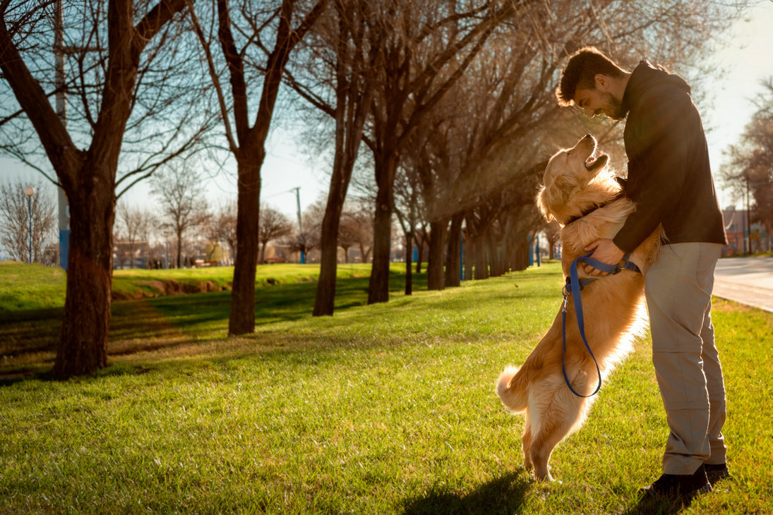 Man Hugging His Pet Dog on the Grass Outdoors