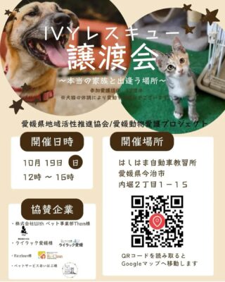 エーデレミニスのInstagram投稿(2025年10月)