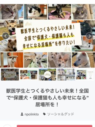エーデレミニスのInstagram投稿(2026年2月)