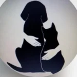 株式会社With  ペット事業部Them